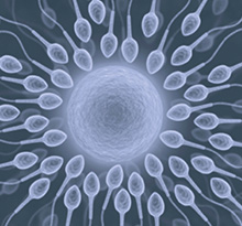 Nutrition tips to improve sperm quality